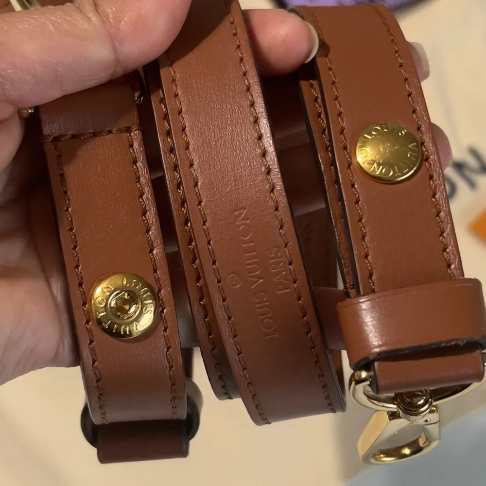 Authentic Louis Vuitton Dauphine Mini Mng Reverse